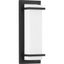 Black Aluminum LED Outdoor Wall Sconce with Acrylic Shade