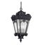 Tournai Textured Black 4-Light Outdoor Hanging Pendant