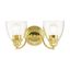 Montgomery Polished Brass 2-Light Vanity Sconce with Hand-Blown Glass