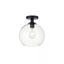 Black and Clear Glass Globe Flush Mount Light