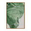 Natural Green Leaf Study Framed Canvas Wall Art, 23x33