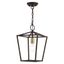 Devonshire Bronze Metal LED Indoor/Outdoor Convertible Pendant