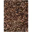 Rio Shag 8' x 10' Brown and Multi Synthetic Area Rug