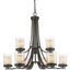 Olde Bronze 9-Light Chandelier with Glass Shades