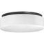 Black Glass Drum LED Flush Mount Light, 11" Indoor/Outdoor