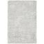 Elegant Silver Shag 4' x 6' Hand-Knotted Wool Area Rug