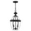 Black Beveled Glass 2-Light Outdoor Hanging Lantern