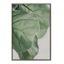 Sylvie Green Leaf Study Framed Canvas Art