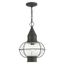 Bohemian Charcoal Brass Globe Indoor/Outdoor Pendant Light