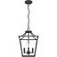 Laurel Ridge 12" Black Iron 4-Light Lantern Pendant