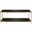 Bauhaus Inspired 51'' Gold and Glass Rectangular Coffee Table