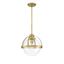 Warm Brass Globe Pendant Light with Clear Glass Shade