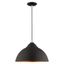 Mini Industrial Chic Black and Gold Pendant Light