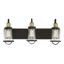 Lansing 3-Light Dimmable Brass and Bronze Bathroom Fixture