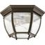 Antique Bronze Glass Indoor/Outdoor Flush Mount Light