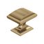 Champagne Bronze Brushed Rectangular Cabinet Knob with Mounting Hardware