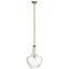 Everly Clear Glass and Brass Pendant Light