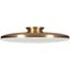 Satin Brass 19" Round Modern LED Ceiling Light for Indoor/Outdoor