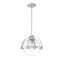 Satin Nickel Glass Globe Pendant Light with Adjustable Height