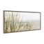 Calming Coastal Beach Grass Landscape Canvas Print