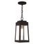 Oslo Clear Glass and Bronze 1-Light Outdoor Pendant