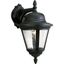 Black Aluminum 16" Outdoor Wall Lantern with Seeded Glass