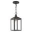 Nyack Scandinavian Gray 1-Light Outdoor Pendant with Clear Glass