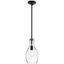 Everly 13.75" Mini-Pendant Black and Clear Glass Light