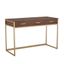 Walnut and Brass Modern Home Office Desk with Drawers