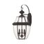 Bronze 3-Light Outdoor Wall Lantern with Clear Beveled Glass