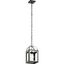 Black Glass Vintage Pendant Light with Chain