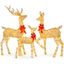 Gold Lighted Christmas Deer Family Set with LED Lights