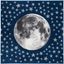 Starry Night Navy & Grey Square Kids Area Rug