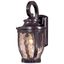 Merrimack Bronze Outdoor Wall Lantern with Clear Hammered Glass