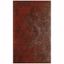 Rust Red Flat Woven Rectangular Cotton Area Rug 4' x 6'