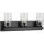 Goodwin 21'' Matte Black Steel Vanity Light with Clear Glass Shades