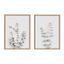 Set of 2 Neutral Botanical Canvas Prints with Natural Frames