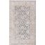 Sofia Modish Light Grey & Beige 3' x 5' Synthetic Area Rug