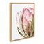 Pink Protea Flower Framed Canvas Art, 18x24, Natural Wood