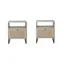 Mina Light Oak and Rattan Nightstands with Black Metal Legs, Set of 2