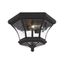 Black Brass 2-Light Outdoor Flush Mount with Clear Glass