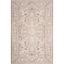 Beige and Cream Hand-knotted Floral Rectangular Area Rug