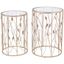 Gold and Glass Botanical Round Accent Tables Set of 2