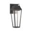 Matte Black LED Outdoor Wall Lantern with Clear Seeded Glass