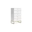 White and Gold Transitional 5-Drawer Tall Dresser