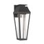 Matte Black LED Outdoor Wall Lantern with Clear Seeded Glass