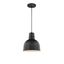 Satin Black 10" Indoor/Outdoor Bowl Pendant Light