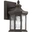 Antique Bronze 9" Outdoor Wall Lantern with Clear Glass