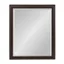 Elegant Full-Length Bronze Vanity Dresser Mirror, 31x36"