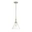 Drake Satin Nickel Adjustable Glass Pendant Light